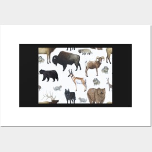 Mammals of Yellowstone National Park Posters and Art